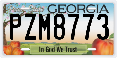 GA license plate PZM8773