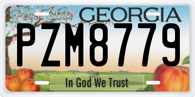 GA license plate PZM8779
