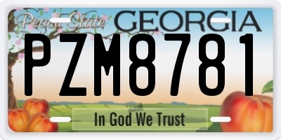 GA license plate PZM8781