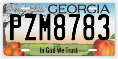 GA license plate PZM8783