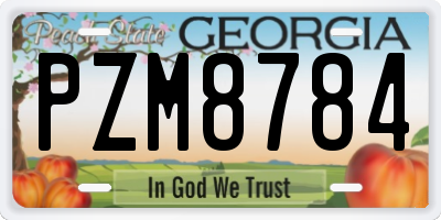 GA license plate PZM8784