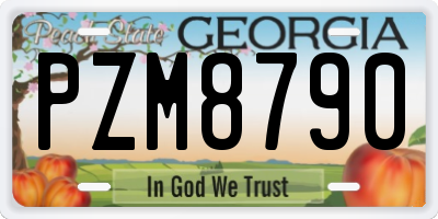 GA license plate PZM8790