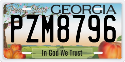 GA license plate PZM8796
