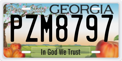 GA license plate PZM8797
