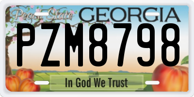 GA license plate PZM8798