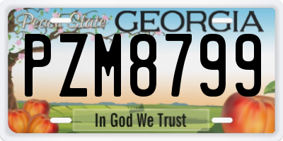 GA license plate PZM8799