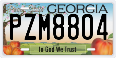 GA license plate PZM8804