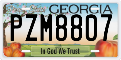 GA license plate PZM8807