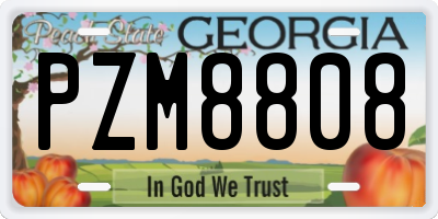 GA license plate PZM8808
