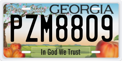 GA license plate PZM8809