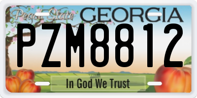 GA license plate PZM8812
