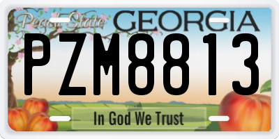 GA license plate PZM8813
