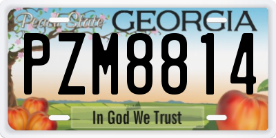 GA license plate PZM8814