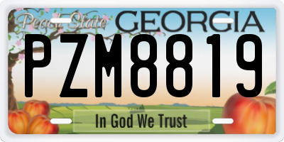 GA license plate PZM8819