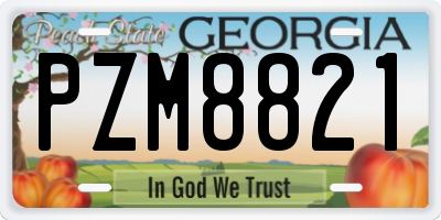 GA license plate PZM8821