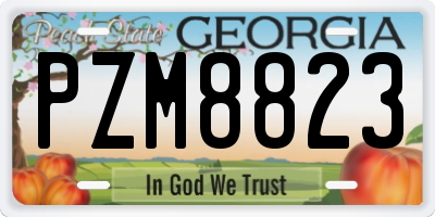 GA license plate PZM8823