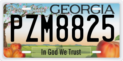 GA license plate PZM8825