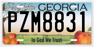 GA license plate PZM8831