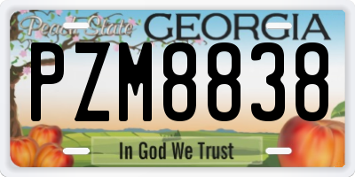 GA license plate PZM8838
