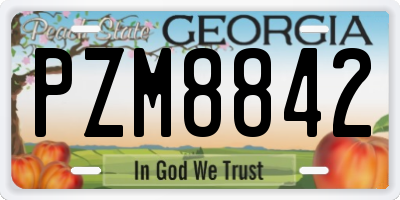 GA license plate PZM8842