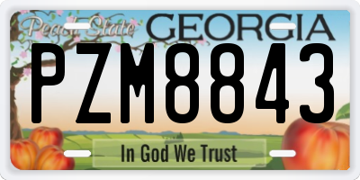 GA license plate PZM8843