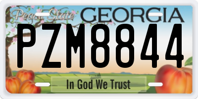 GA license plate PZM8844