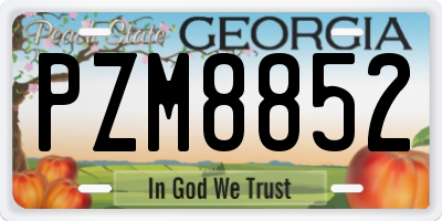 GA license plate PZM8852