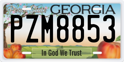 GA license plate PZM8853
