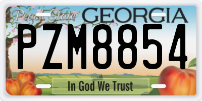 GA license plate PZM8854