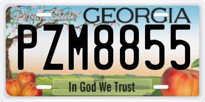 GA license plate PZM8855