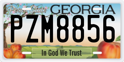 GA license plate PZM8856