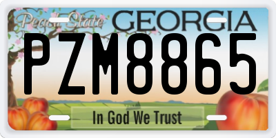 GA license plate PZM8865