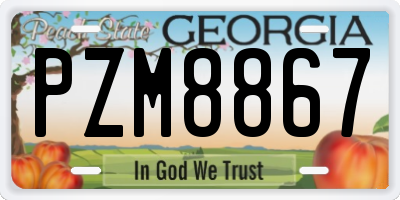 GA license plate PZM8867