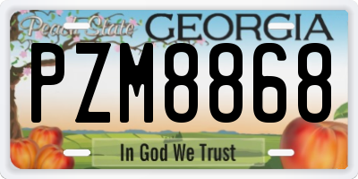 GA license plate PZM8868