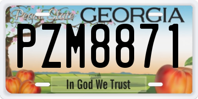 GA license plate PZM8871