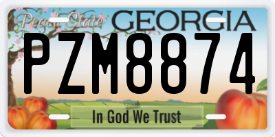 GA license plate PZM8874