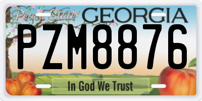 GA license plate PZM8876