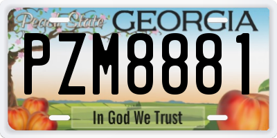GA license plate PZM8881