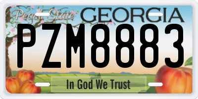 GA license plate PZM8883