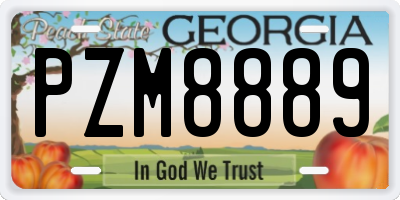 GA license plate PZM8889
