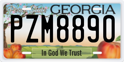 GA license plate PZM8890