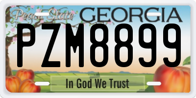 GA license plate PZM8899