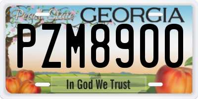GA license plate PZM8900