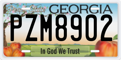 GA license plate PZM8902