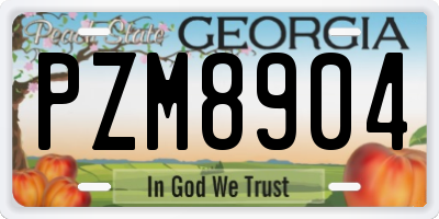 GA license plate PZM8904