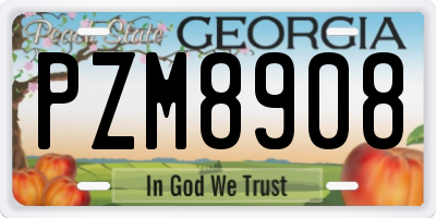 GA license plate PZM8908