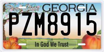GA license plate PZM8915