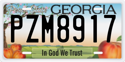 GA license plate PZM8917