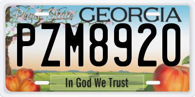 GA license plate PZM8920