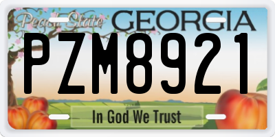 GA license plate PZM8921